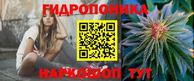 стафф Бузулук